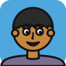 rapidfalcon13